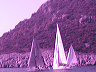 marmaris_race_(5)